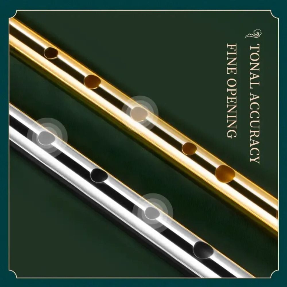 C/D Anahtarlı İrlanda Düdüğü F - Musical Instrument Irish incelemesi ve fiyatı