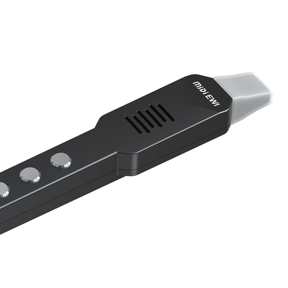 Küçük Enine Flüt Elektronik Ne - Musical Instrument Irish incelemesi ve fiyatı